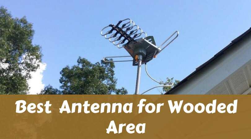 Best Antenna for Wooded Area
